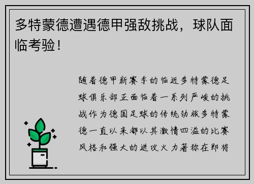 多特蒙德遭遇德甲强敌挑战，球队面临考验！
